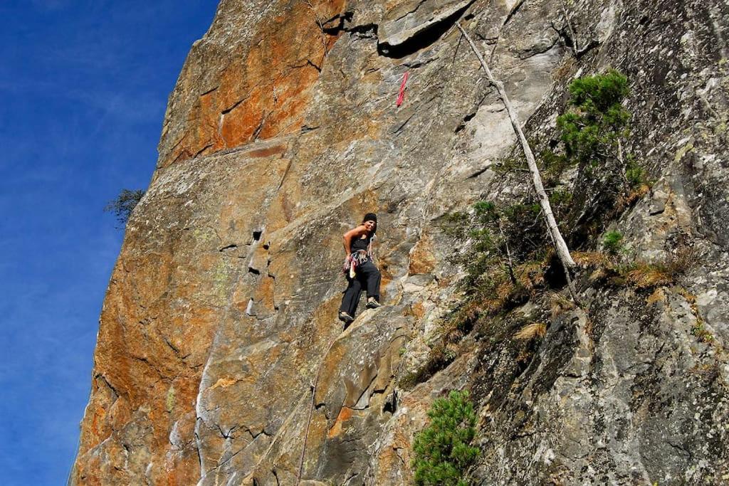 齐勒河谷的拉姆绍Alpenrose公寓 外观 照片
